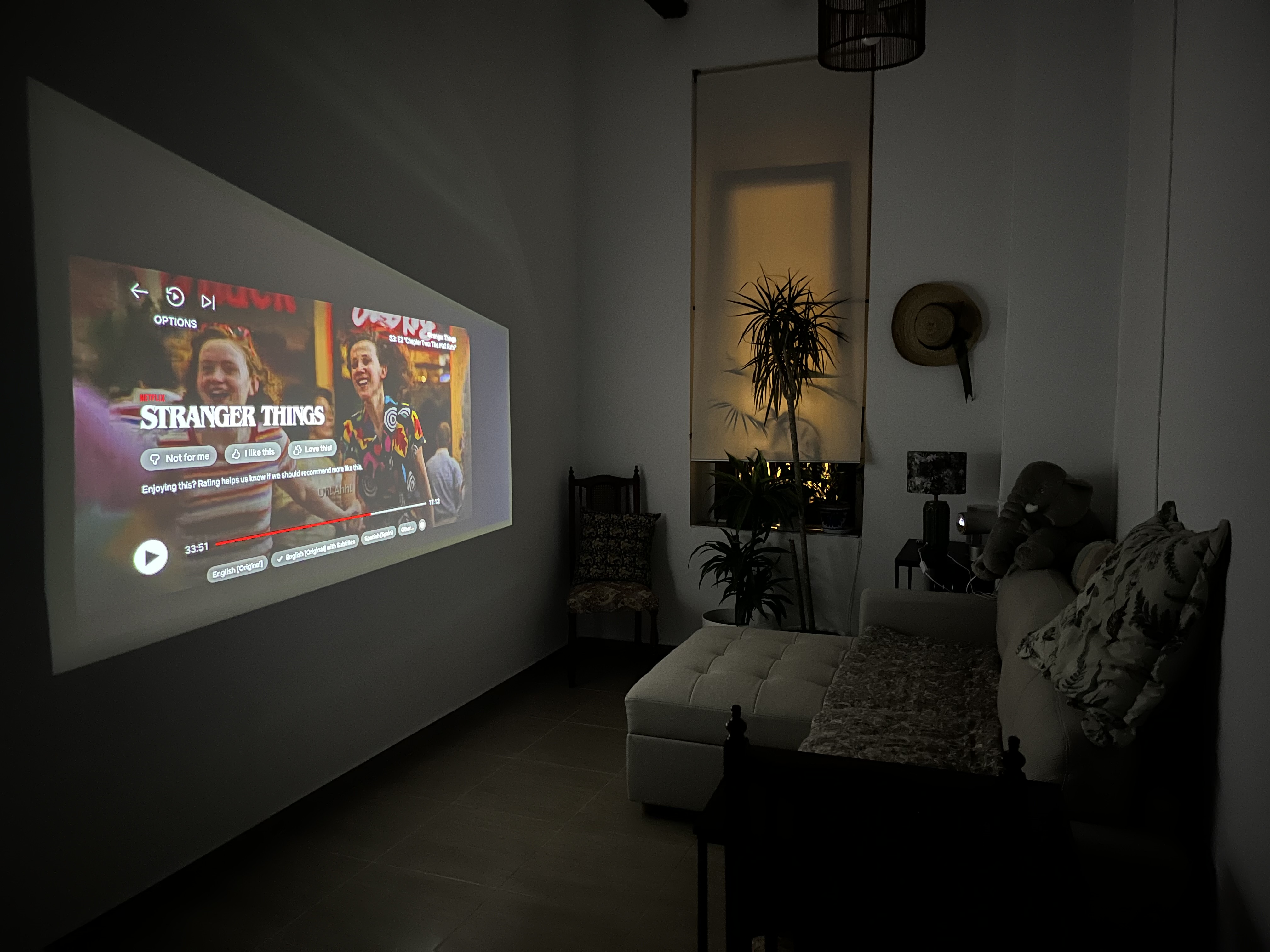Home cinema - Netflix projector